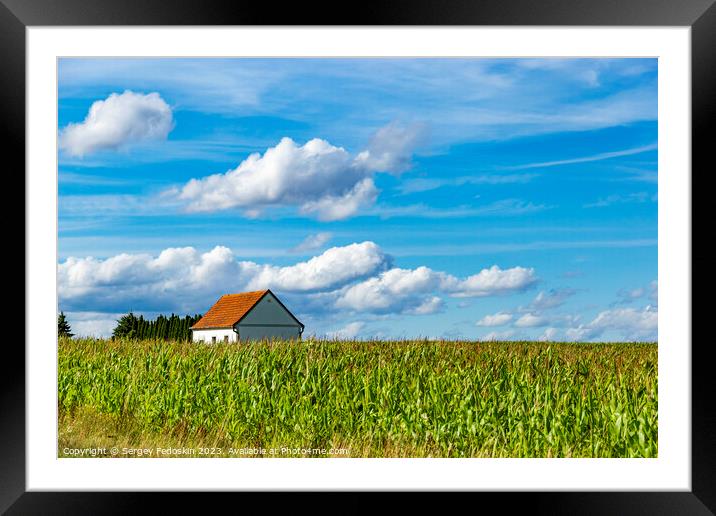 House in a cornfield. Framed Mounted Print by Sergey Fedoskin