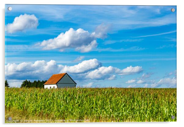 House in a cornfield. Acrylic by Sergey Fedoskin