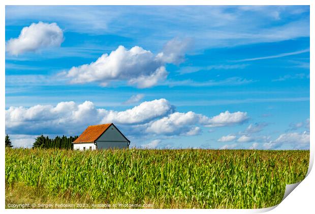 House in a cornfield. Print by Sergey Fedoskin