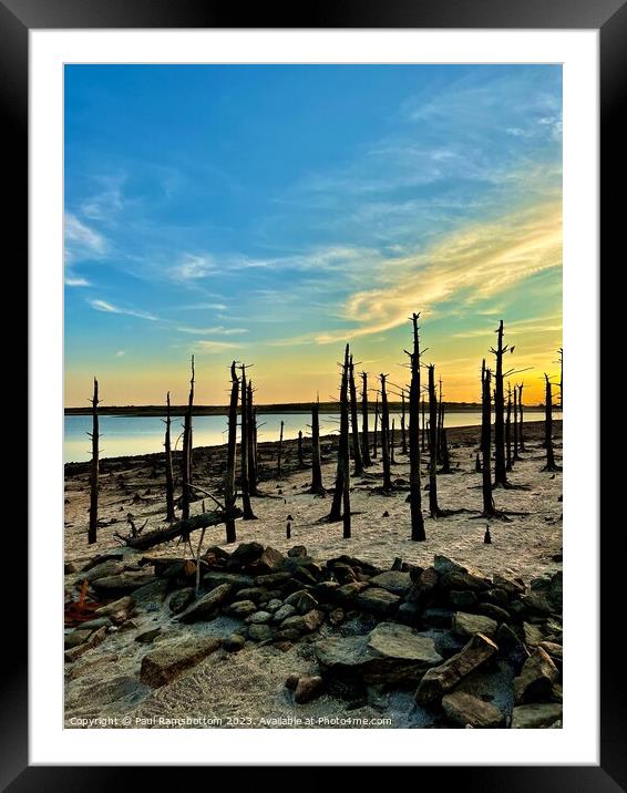 Uncovered Tree's at Sunset in Colliford Lake Framed Mounted Print by Paul Ramsbottom