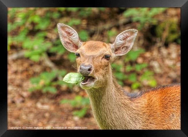 Don't talk with your Mouthful Framed Print by Helkoryo Photography