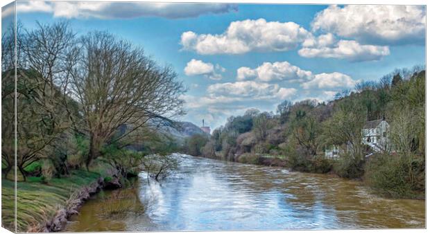View of the River Severn  Canvas Print by simon alun hark