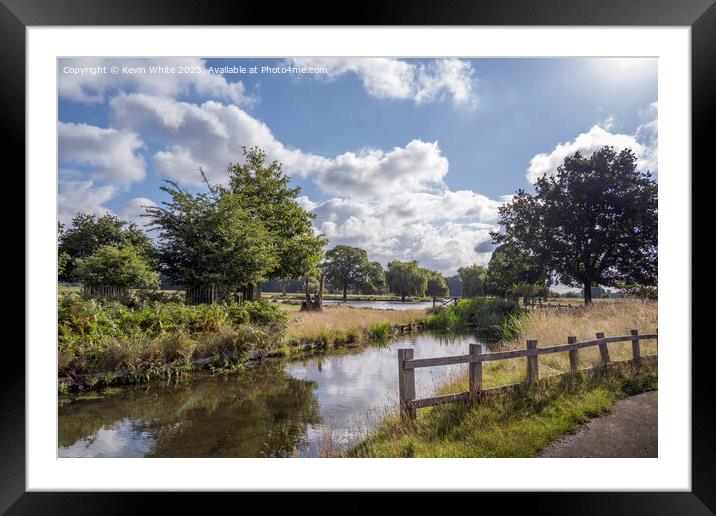 Bushy park stream and ponds view from carpark Framed Mounted Print by Kevin White