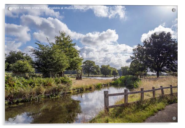 Bushy park stream and ponds view from carpark Acrylic by Kevin White