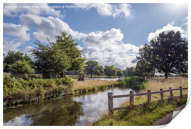 Bushy park stream and ponds view from carpark Print by Kevin White