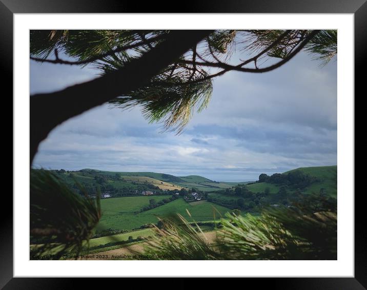 Colmer's Hill view Framed Mounted Print by Charles Powell