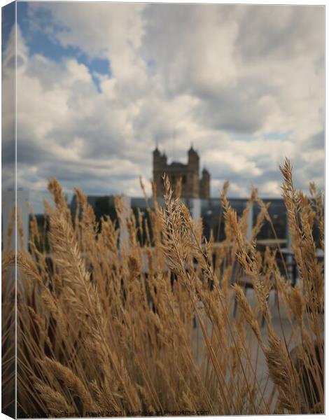 Exeter Cathedral rooftop Canvas Print by Charles Powell