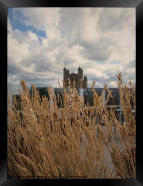 Exeter Cathedral rooftop Framed Print by Charles Powell