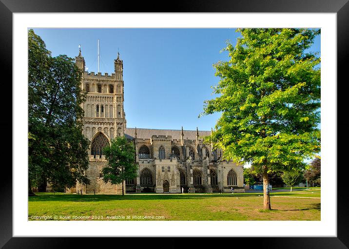 Exeter Cathedral  Framed Mounted Print by Rosie Spooner