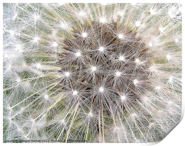 Dandelion's Stellar Explosion Print by Roger Mechan