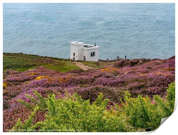 Views around South Stack lighthouse with the gorse and heather o Print by Gail Johnson