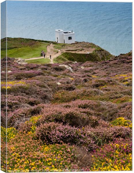 Views around South Stack lighthouse with the gorse and heather o Canvas Print by Gail Johnson