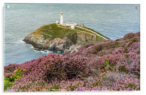 Views around South Stack lighthouse with the gorse and heather o Acrylic by Gail Johnson