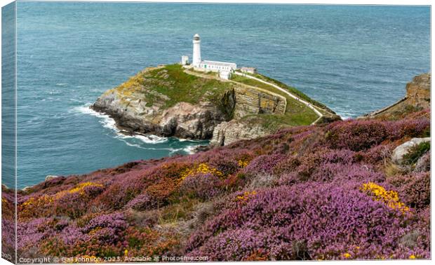 Views around South Stack lighthouse with the gorse and heather o Canvas Print by Gail Johnson