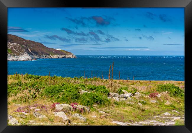 Views around Holyhead Breakwater park with the heather and gorse Framed Print by Gail Johnson