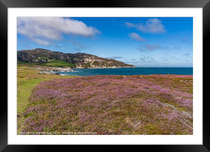 Views around Holyhead Breakwater park with the heather and gorse Framed Mounted Print by Gail Johnson
