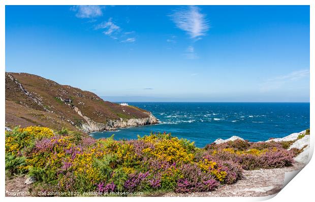 Views around Holyhead Breakwater park with the heather and gorse Print by Gail Johnson
