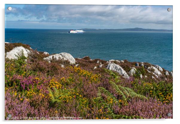 Views around Holyhead Breakwater park with the heather and gorse Acrylic by Gail Johnson
