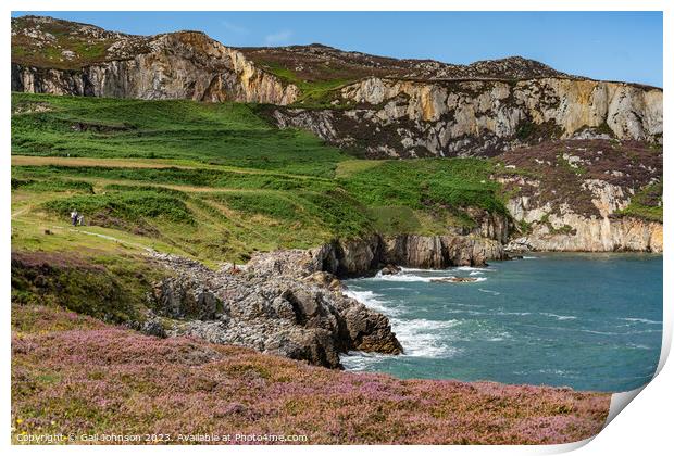 Views around Holyhead Breakwater park with the heather and gorse Print by Gail Johnson