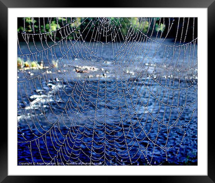 Dew covered spider's web Framed Mounted Print by Roger Mechan