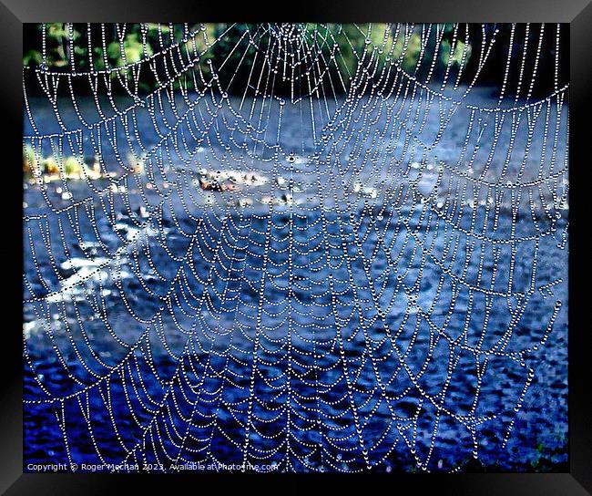 Dew covered spider's web Framed Print by Roger Mechan