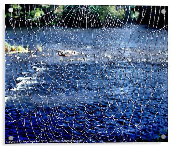 Dew covered spider's web Acrylic by Roger Mechan