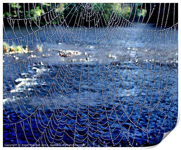 Dew covered spider's web Print by Roger Mechan