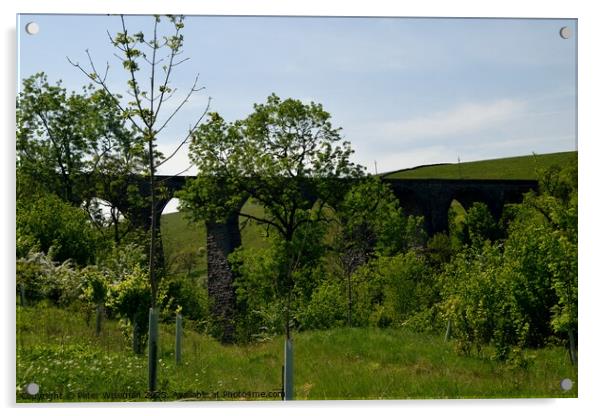 Smardale Viaduct on the Settle to Carlisle railway Acrylic by Peter Wiseman