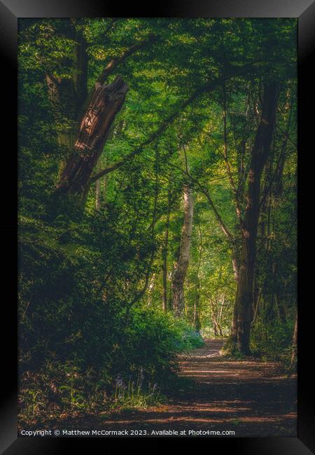 Woodland Path Framed Print by Matthew McCormack