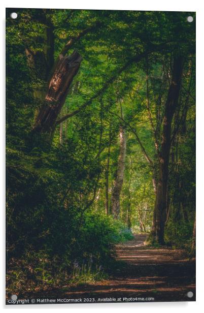 Woodland Path Acrylic by Matthew McCormack