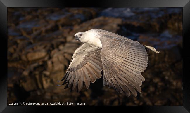 Into the Light Framed Print by Pete Evans