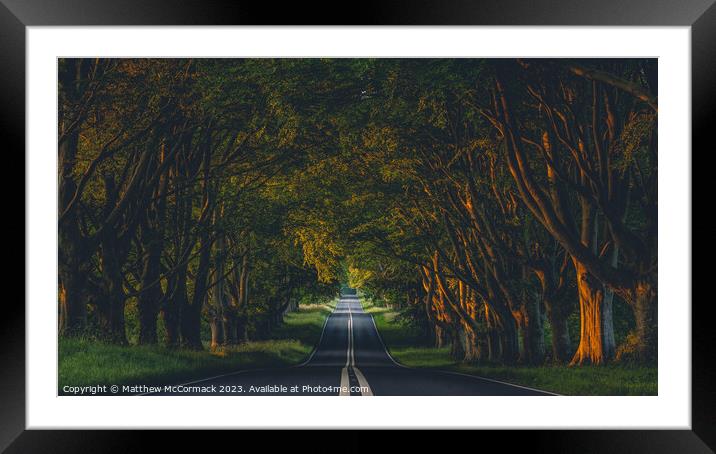 Beech Tree Avenue Framed Mounted Print by Matthew McCormack