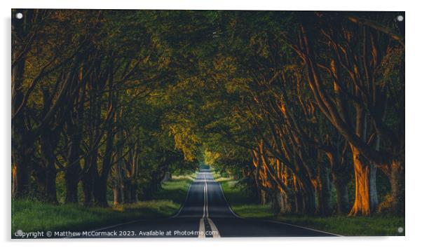 Beech Tree Avenue Acrylic by Matthew McCormack