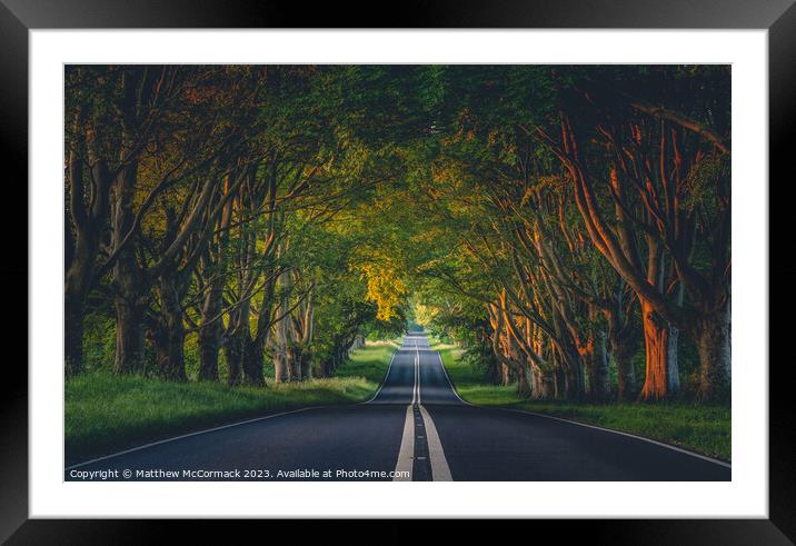 Beech Tree Avenue Framed Mounted Print by Matthew McCormack