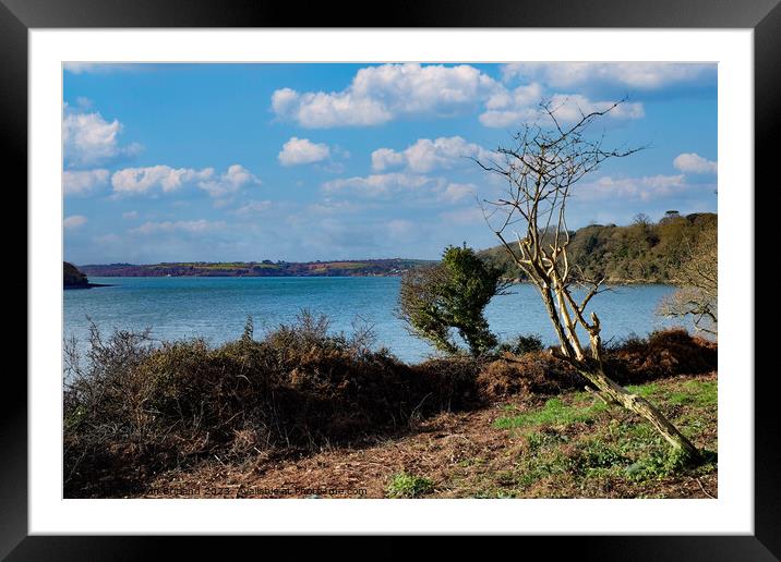 the river fal in cornwall Framed Mounted Print by Kevin Britland