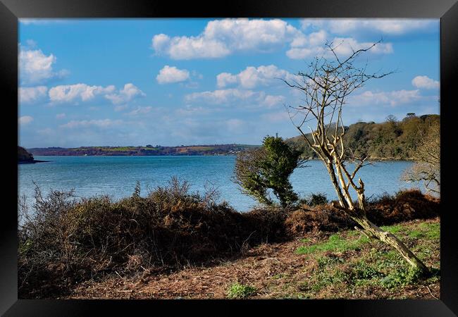 the river fal in cornwall Framed Print by Kevin Britland