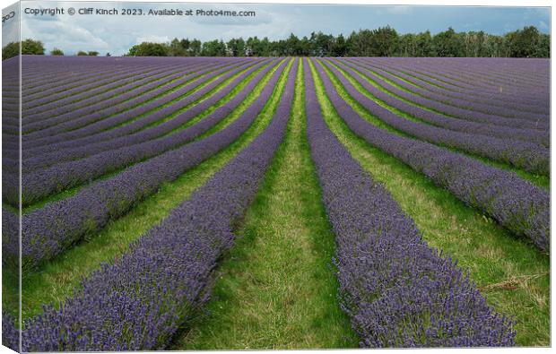 Lavender Dreams in Snowshill Canvas Print by Cliff Kinch