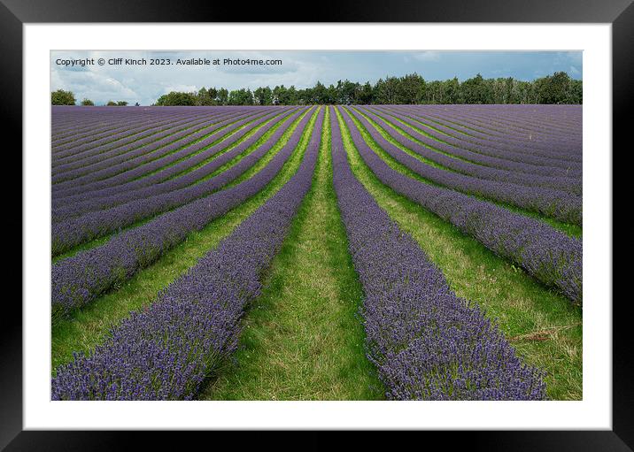 Lavender Dreams in Snowshill Framed Mounted Print by Cliff Kinch