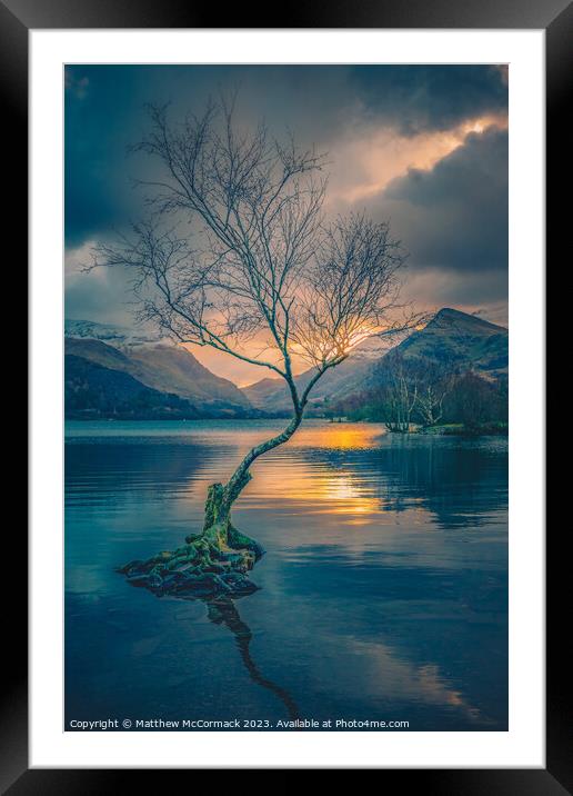 Lonely Tree Framed Mounted Print by Matthew McCormack