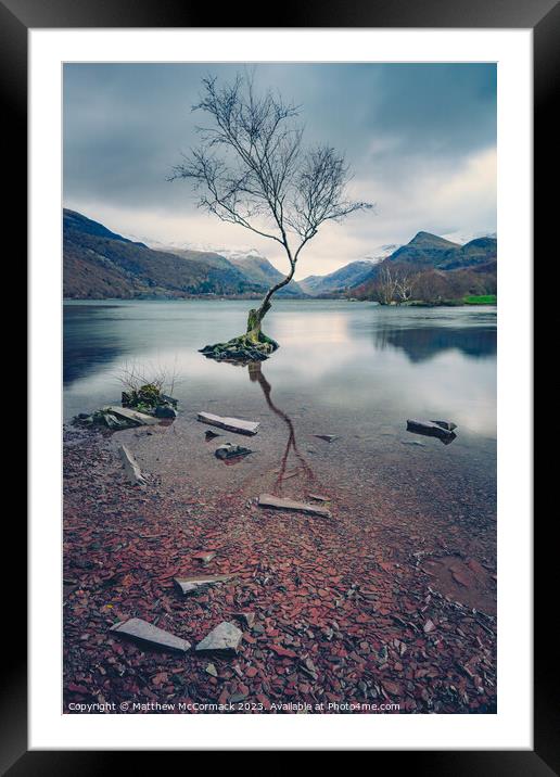 Lonely Tree Framed Mounted Print by Matthew McCormack