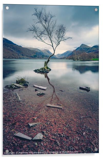 Lonely Tree Acrylic by Matthew McCormack