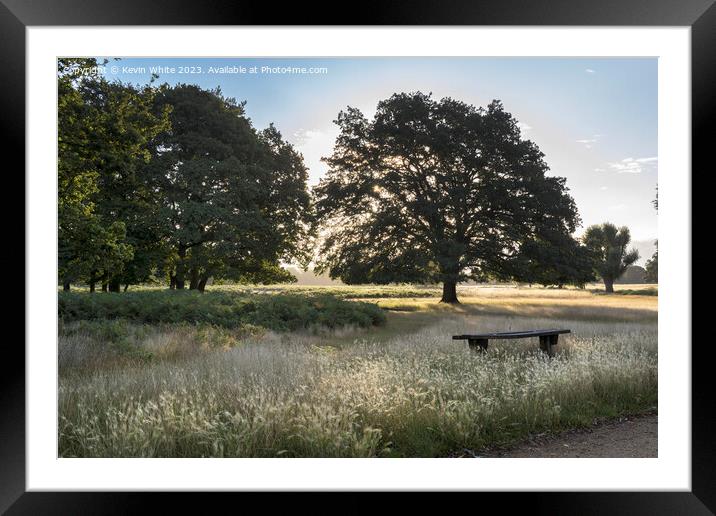 Old wooden bench in the long grass Framed Mounted Print by Kevin White