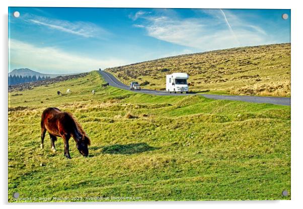 Dartmoor Holliday Acrylic by Roger Mechan