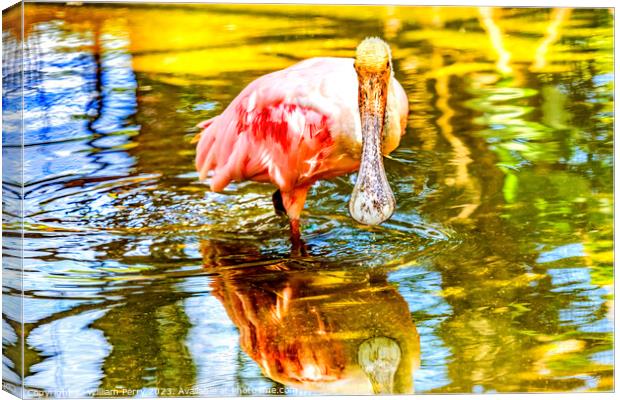 Colorful Roseate Spoonbill Wading Bird Reflection Hawaii Canvas Print by William Perry