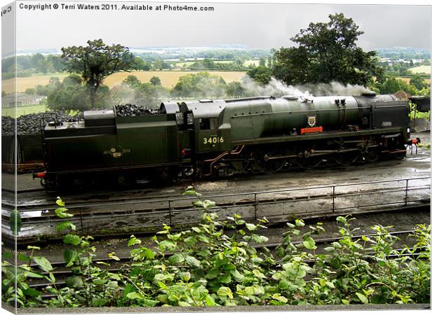 Steam Train Bodmin at Ropley Canvas Print by Terri Waters