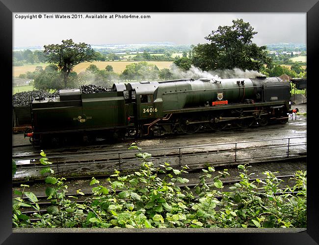 Steam Train Bodmin at Ropley Framed Print by Terri Waters