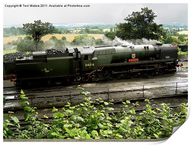 Steam Train Bodmin at Ropley Print by Terri Waters
