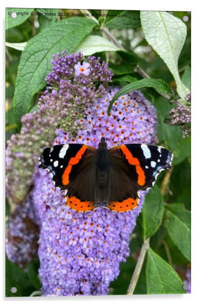 Red Admiral and Purple Lilac Acrylic by Jim Jones