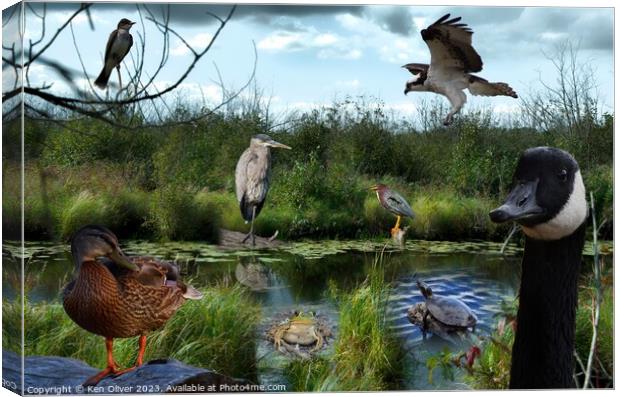 Wetlands Gathering of Animals Canvas Print by Ken Oliver