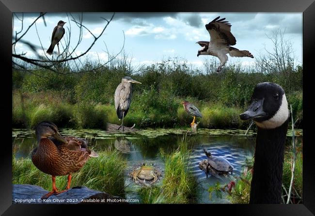 Wetlands Gathering of Animals Framed Print by Ken Oliver